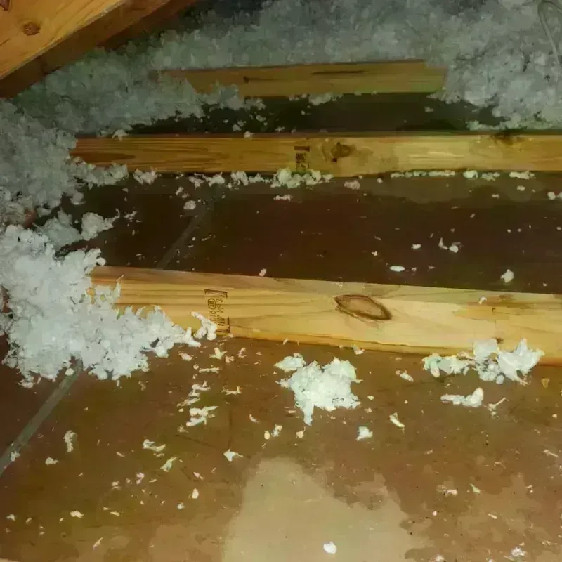 Attic Water Damage in Wayne, WV