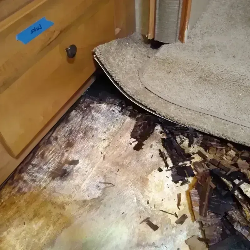 Wood Floor Water Damage in Wayne, WV